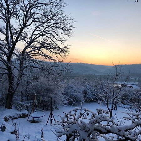 Ueber Den Daechern Von Koblenz - Aussichts-Wohnung Naturpark Rheinblick, Ruhig, Zentrumsnah, Sport-Pool Zewnętrze zdjęcie