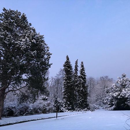Ueber Den Daechern Von Koblenz - Aussichts-Wohnung Naturpark Rheinblick, Ruhig, Zentrumsnah, Sport-Pool Zewnętrze zdjęcie