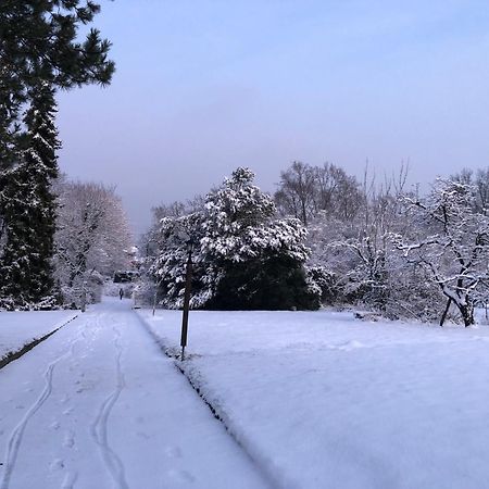 Ueber Den Daechern Von Koblenz - Aussichts-Wohnung Naturpark Rheinblick, Ruhig, Zentrumsnah, Sport-Pool Zewnętrze zdjęcie