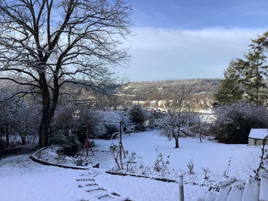 Ueber Den Daechern Von Koblenz - Aussichts-Wohnung Naturpark Rheinblick, Ruhig, Zentrumsnah, Sport-Pool Zewnętrze zdjęcie