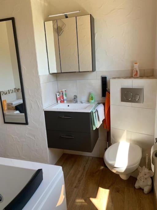 Ueber Den Daechern Von Koblenz - Aussichts-Wohnung Naturpark Rheinblick, Ruhig, Zentrumsnah, Sport-Pool Zewnętrze zdjęcie