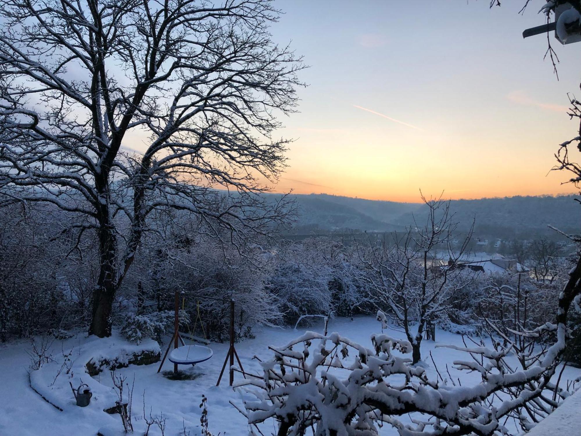 Ueber Den Daechern Von Koblenz - Aussichts-Wohnung Naturpark Rheinblick, Ruhig, Zentrumsnah, Sport-Pool Zewnętrze zdjęcie