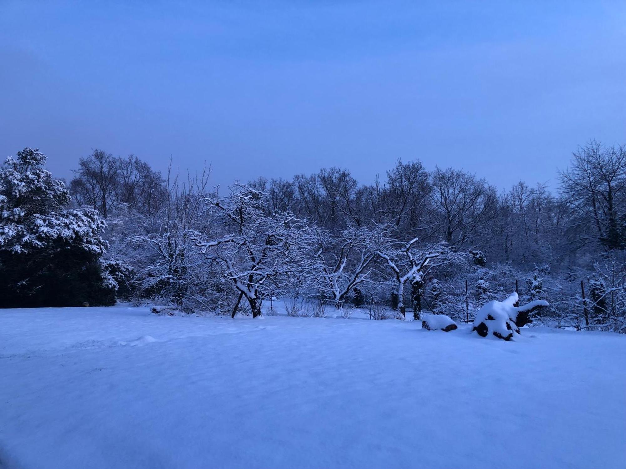 Ueber Den Daechern Von Koblenz - Aussichts-Wohnung Naturpark Rheinblick, Ruhig, Zentrumsnah, Sport-Pool Zewnętrze zdjęcie